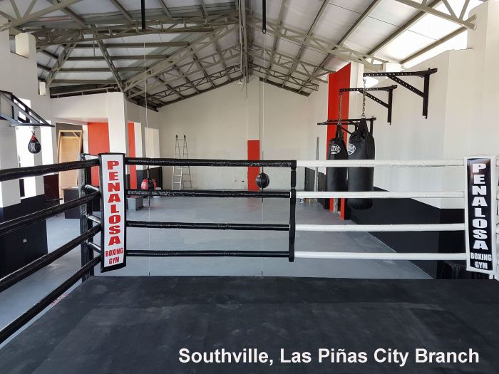 gpboxing_branches_southvillelaspinas